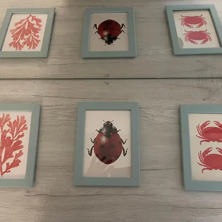 Apartmán Oceania *